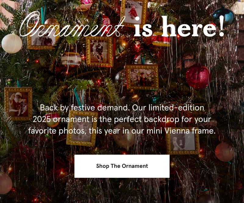 Shop The Ornament