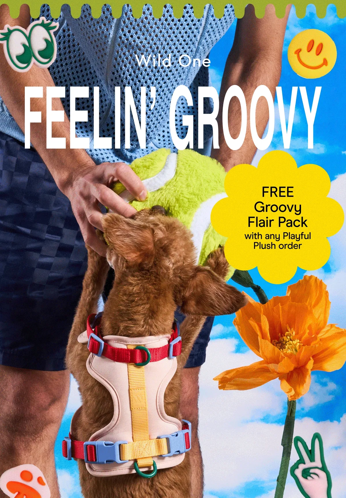 FREE Groovy Flair Pack with any Playful Plush order
