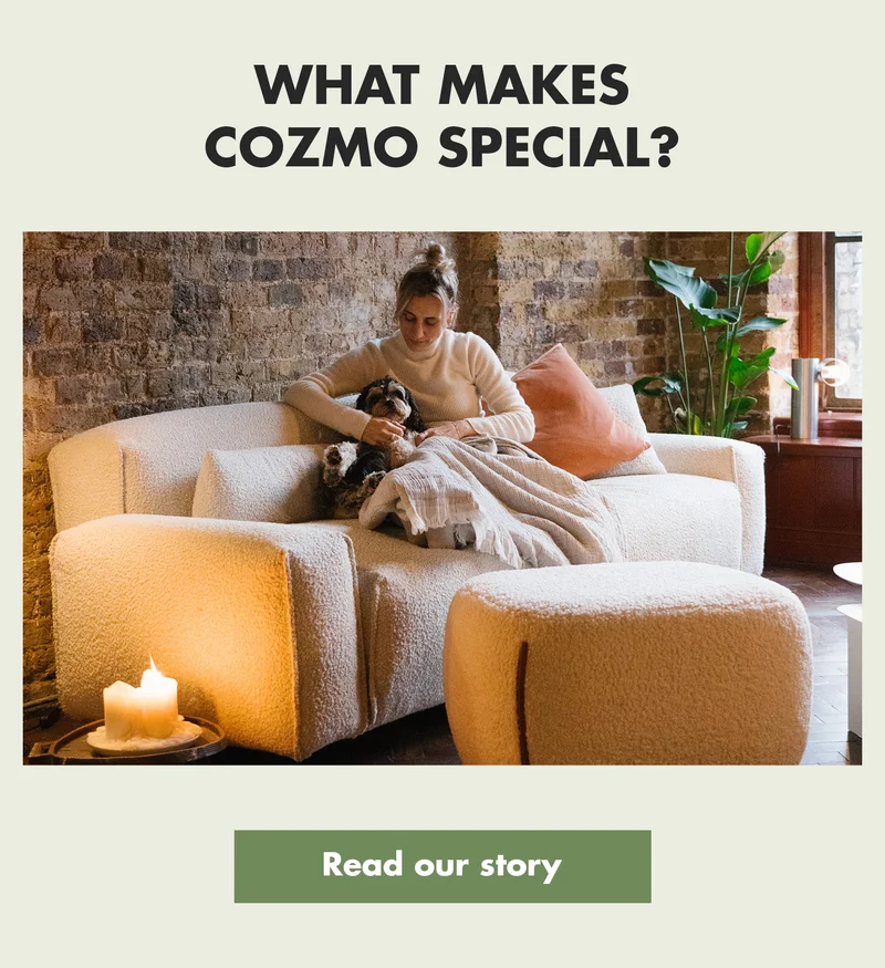 What makes Cozmo so special?