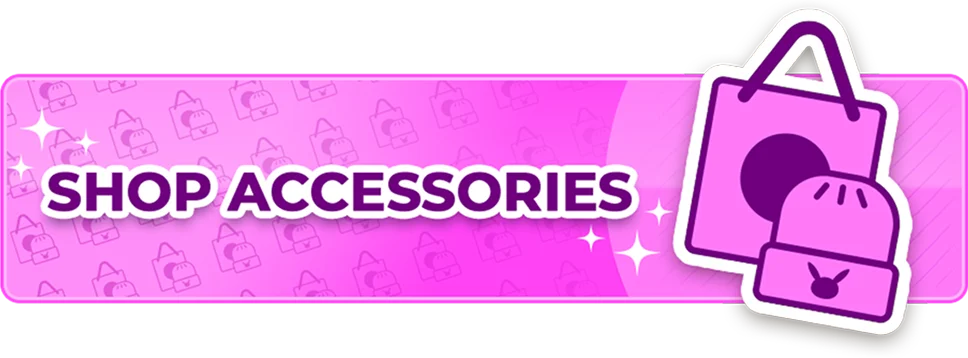 Shop Accessories ›