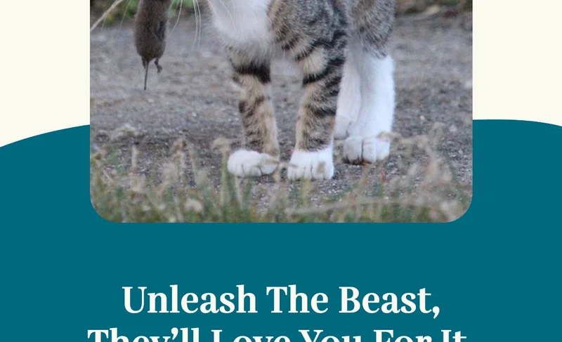 Unleash the beast