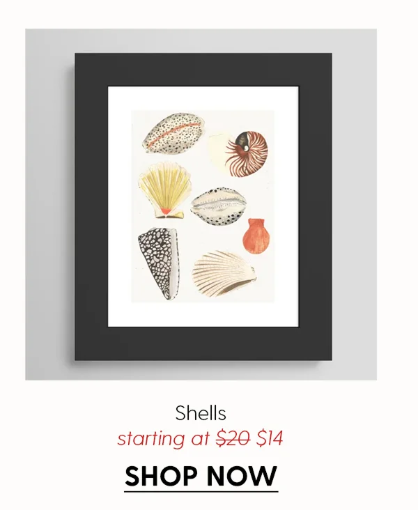 Shells