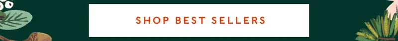 Shop Best Sellers