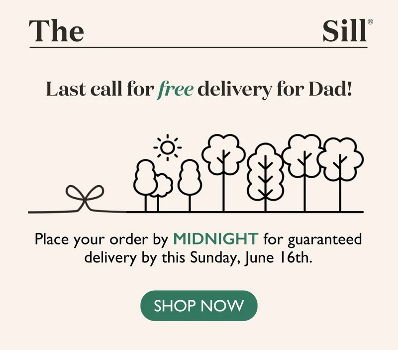 Order now for free delivery by Father's Day!