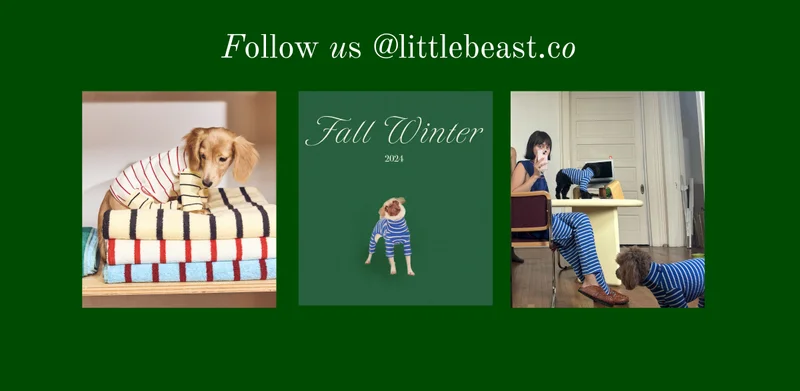 Follow us on Instagram
