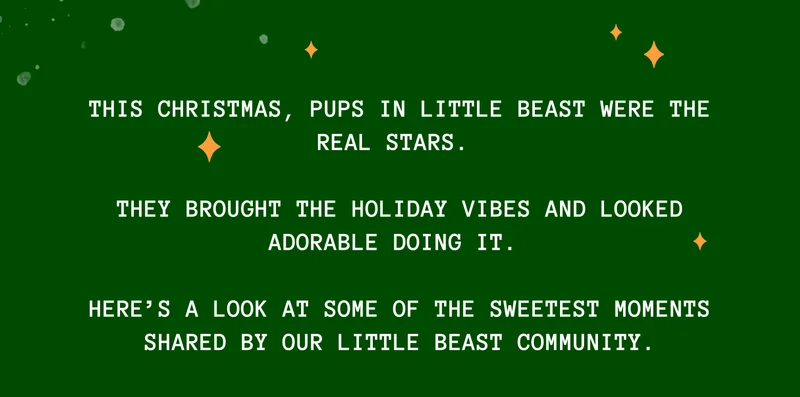 This Christmas, pups in Little Beast were the real stars.