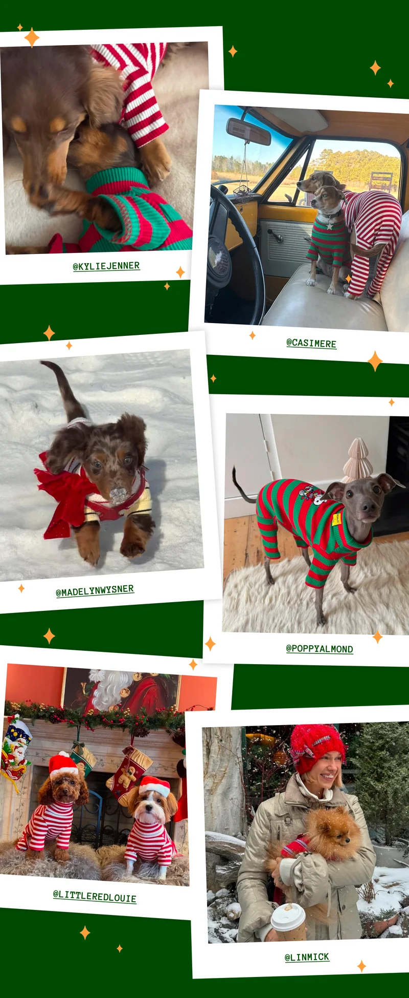 Here’s a look at some of the sweetest moments shared by our Little Beast community.