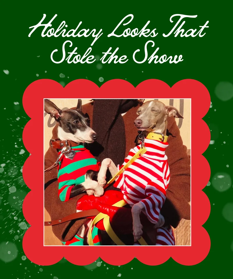 Holiday Looks That Stole the Show