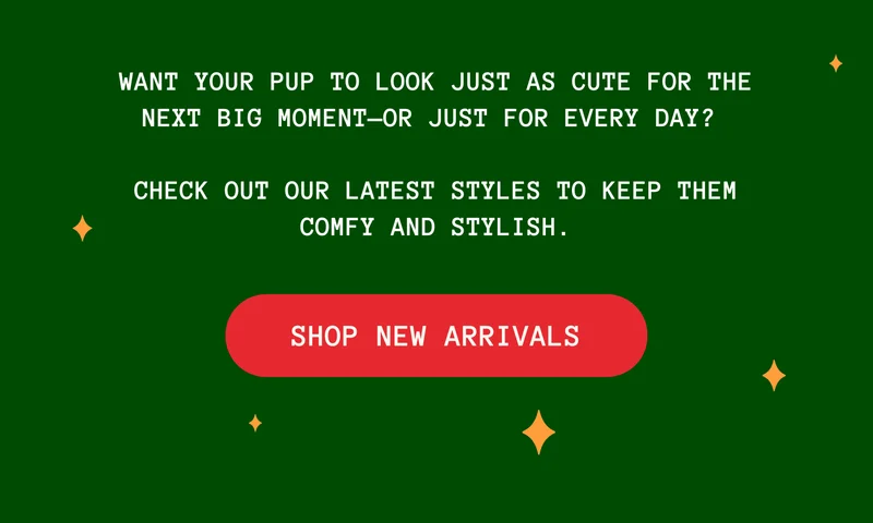 Check out our latest styles to keep them comfy and stylish.
