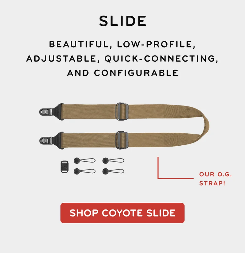 Shop Coyote Slide