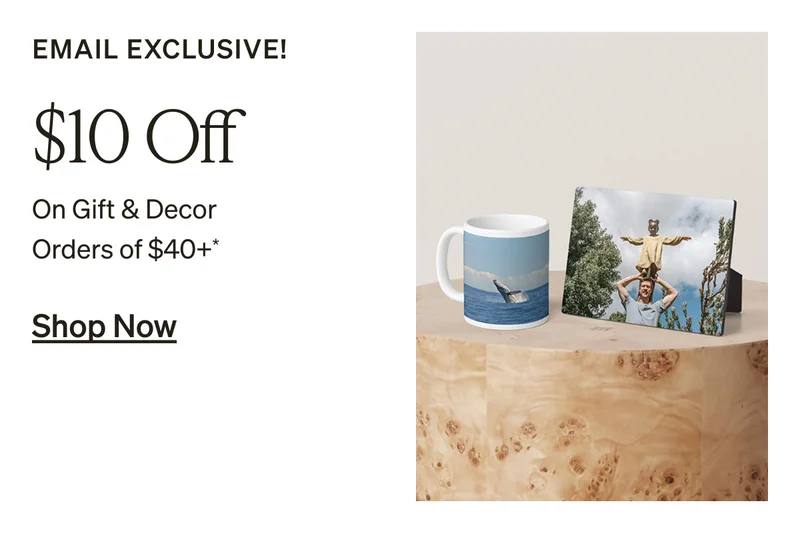 Free Shipping (No Minimum) + Up to 50% Off Almost Everything