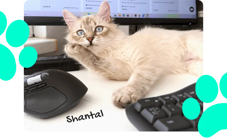 Logitech Logo