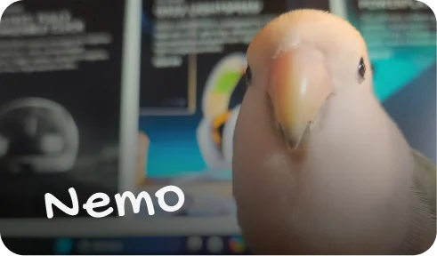 Nemo