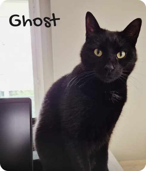 Ghost