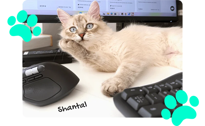 Logitech Logo