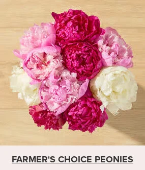 Flowers At a Great Price