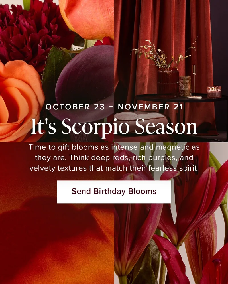 It's Scorpio Season (Oct. 23 - Nov. 21) Time to gift blooms as intense and magnetic as they are. Think deep reds, rich purples, and velvety textures that match their fearless spirit. Send Birthday Bouqs.