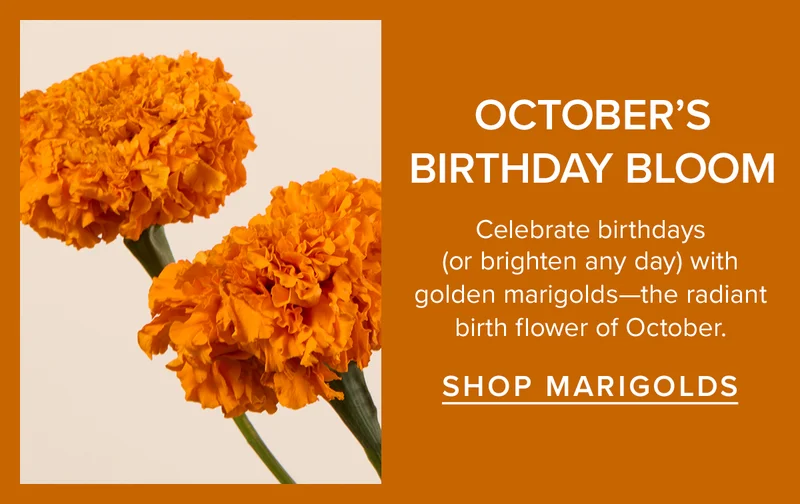October's Birthday Bloom. Celebrate birthdays (or brighten any day) with golden marigolds--the radiant birth flower of October. Shop Marigolds.