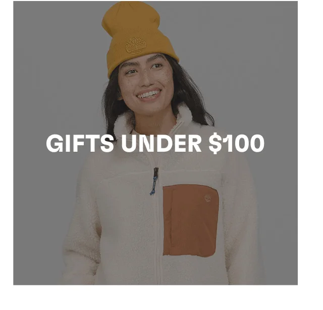 Gifts under $100