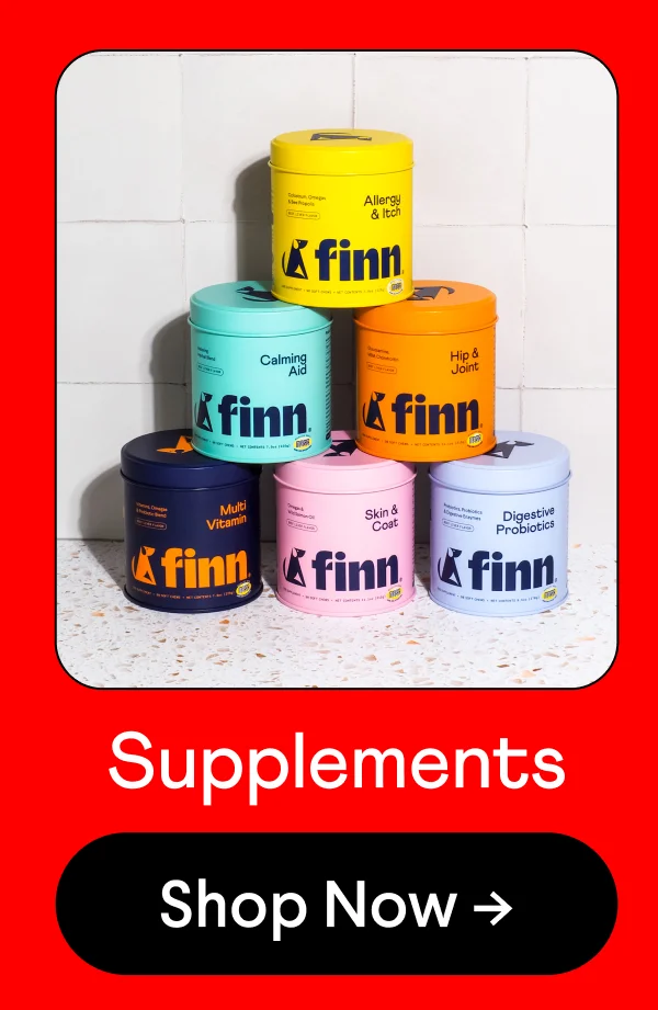 Supplements | Shop Now –>