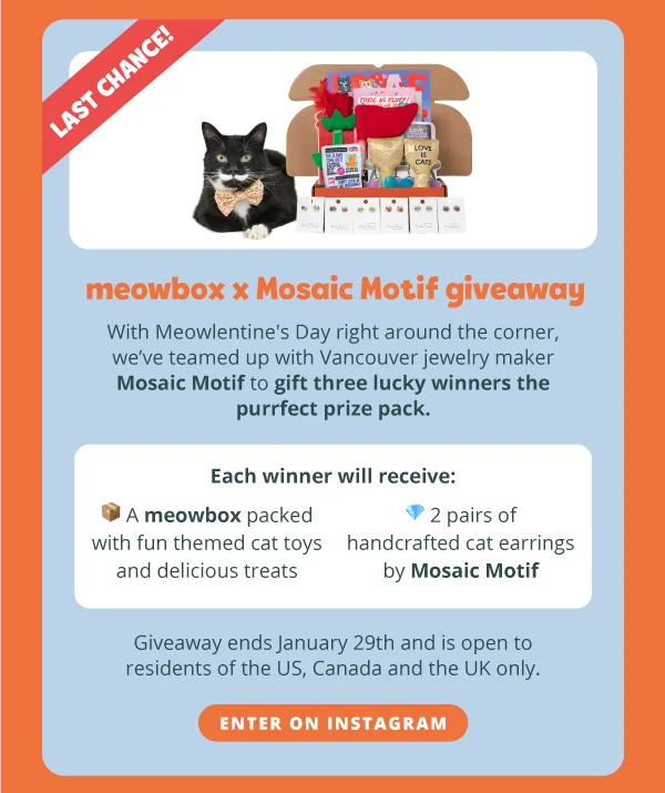 Last Chance: meowbox x Mosaic Motif giveaway. With Meowlentine's Day right around the corner, we’ve teamed up with Vancouver jewelry maker [Mosaic Motif](https://www.mosaicmotif.com/) to gift three lucky winners the purrfect prize pack.  Each winner will receive:  - A meowbox packed with fun themed cat toys and delicious treats - 2 pairs of handcrafted cat earrings by Mosaic Motif  Giveaway ends January 29th and is open to residents of the US, Canada and the UK only. Enter on Instagram.