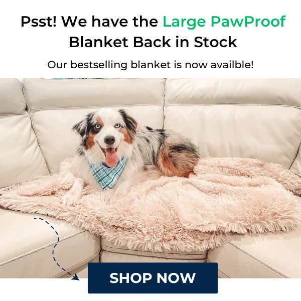 PawProof Back In Stock