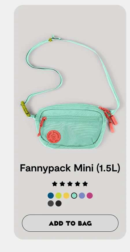 Fannypack Mini