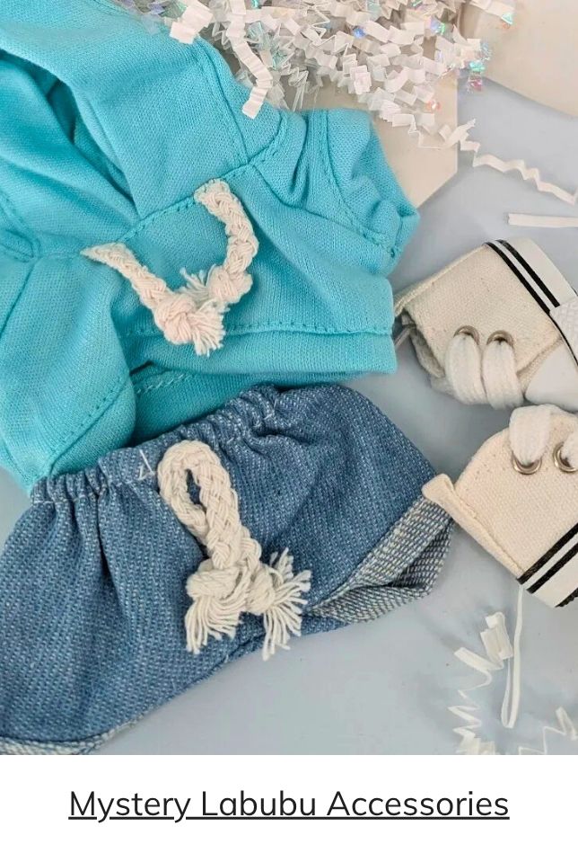 Mystery Labubu Clothes and Accessories