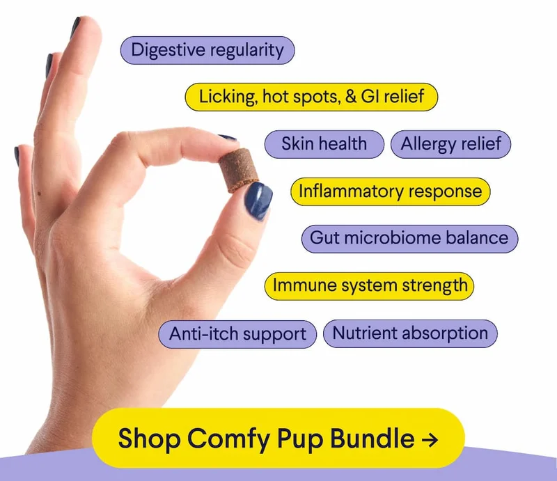 Digestive regularity. Licking, hot spots, & GI relief. Skin health. Allergy relief. Inflammatory response. Gut microbiome balance. Immune system strength. Anti-itch support. Nutrient absorption. Shop Comfy Pup Bundle.