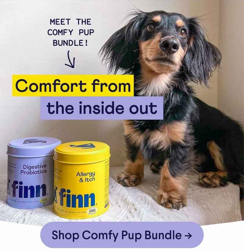 Meet the comfy pup bundle! Comfort from the inside out. Shop Comfy Pup Bundle