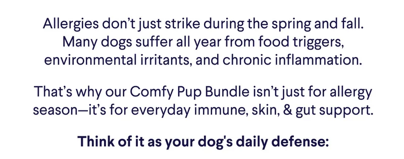 Allergies don’t just strike during the spring and fall. Many dogs suffer all year from food triggers, environmental irritants, and chronic inflammation. That’s why our Comfy Pup Bundle isn’t just for allergy season—it’s for everyday immune, skin, & gut support. Think of it as your dog's daily defense: