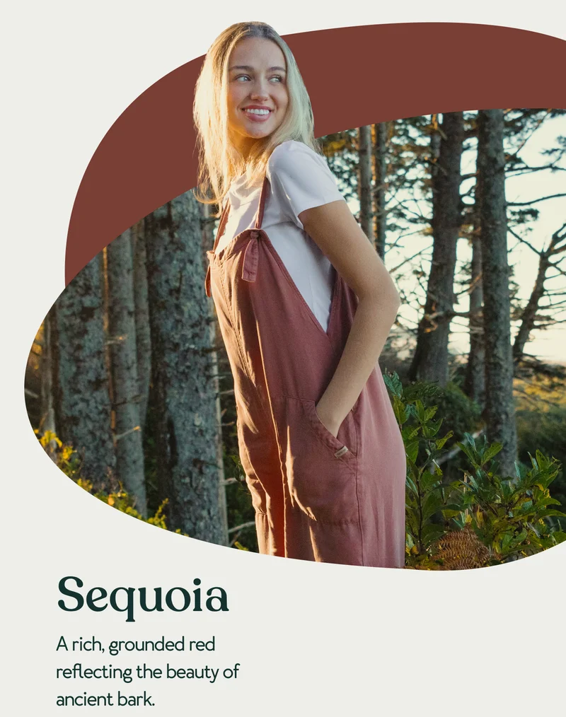 Sequoia