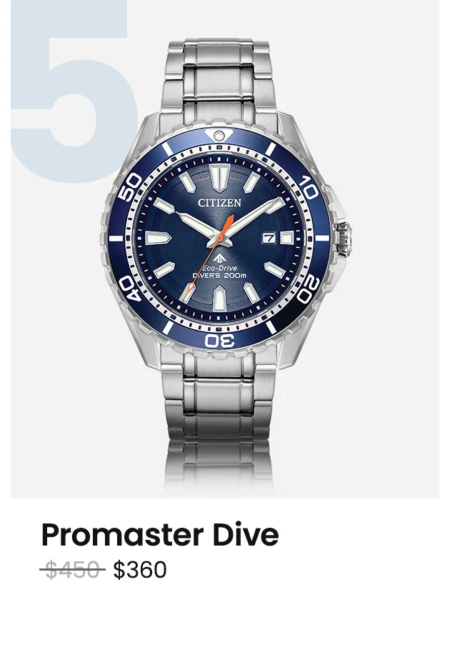 Promaster Dive -- Was $450 Now $360