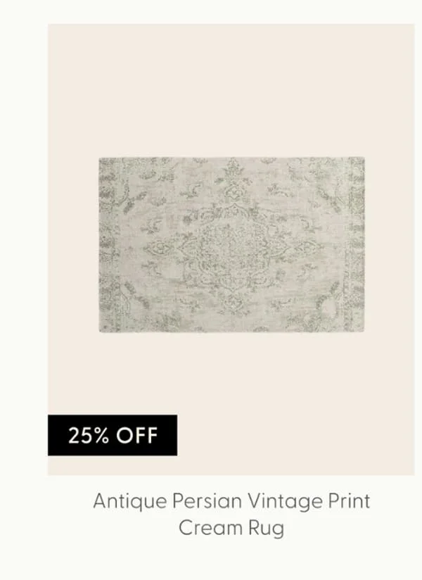 Antique Persian Neutral Vintage Rug Print Cream Rug
