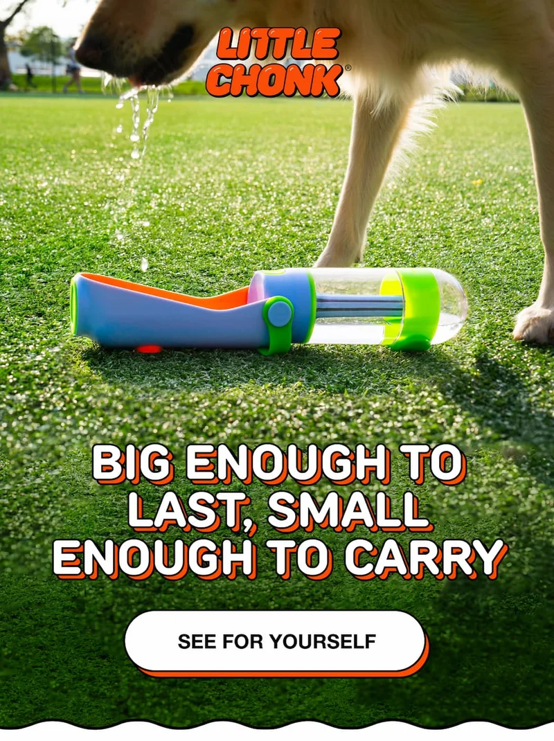BIG ENOUGH TO LAST, SMALL ENOUGH TO CARRY