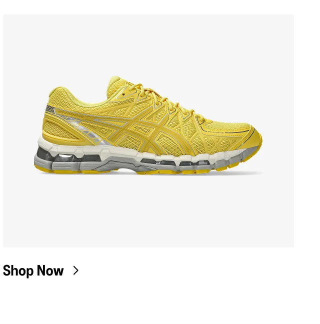 GEL-KAYANO 20