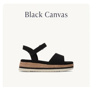 Black Canvas