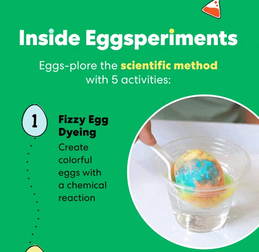 Inside Eggsperiments: Eggs-plore the scientific method with 5 activities!
