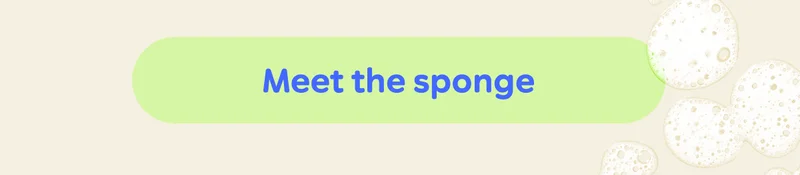 Button: Meet the sponge