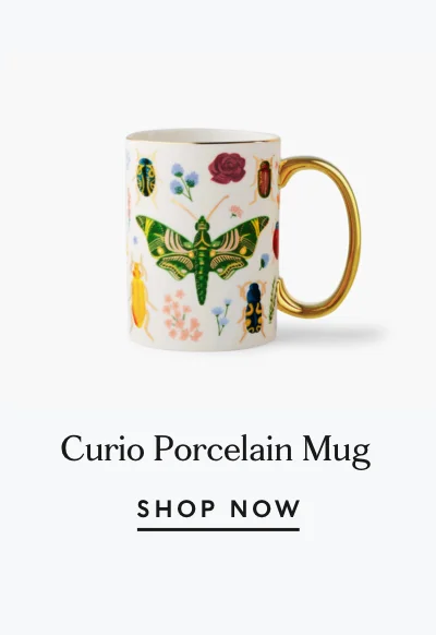 Curio Porcelain Mug