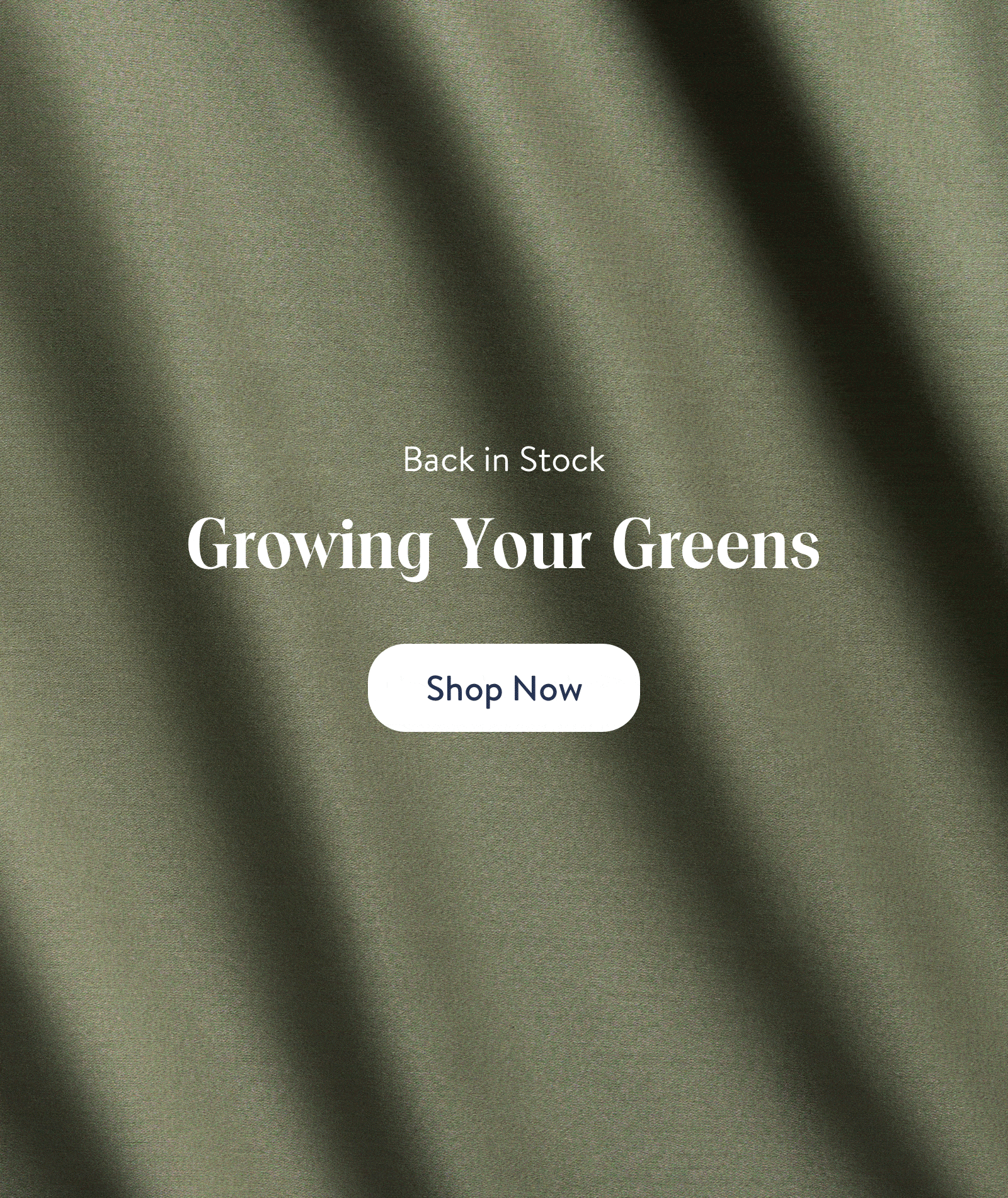 Back in Stock: Growing Your Greens