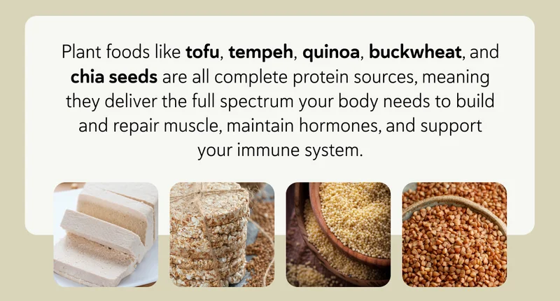 Plant foods like tofu, tempeh, quinoa, buckwheat, and chia seeds are all complete protein sources, meaning they deliver the full spectrum your body needs to build and repair muscle, maintain hormones, and support your immune system.