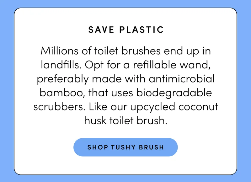 SHOP TUSHY BRUSH
