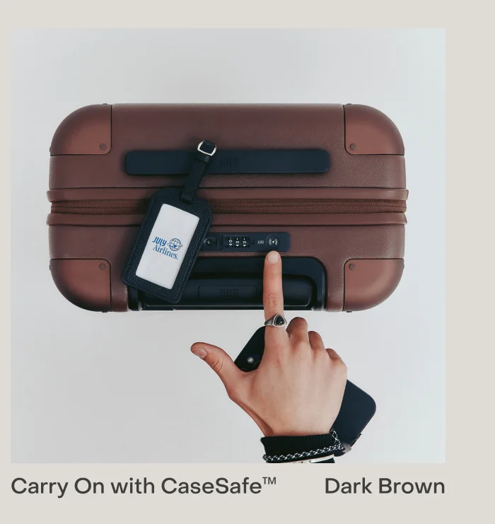 Carry On with CaseSafe Dark Brown