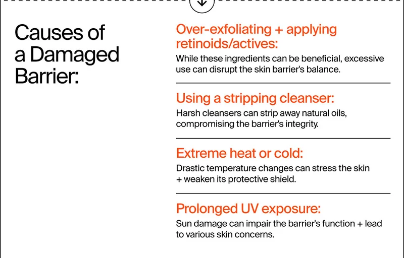 Causes of a Damaged Barrier