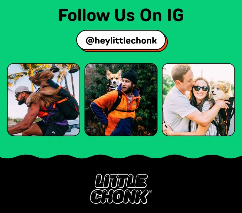 Follow us on IG