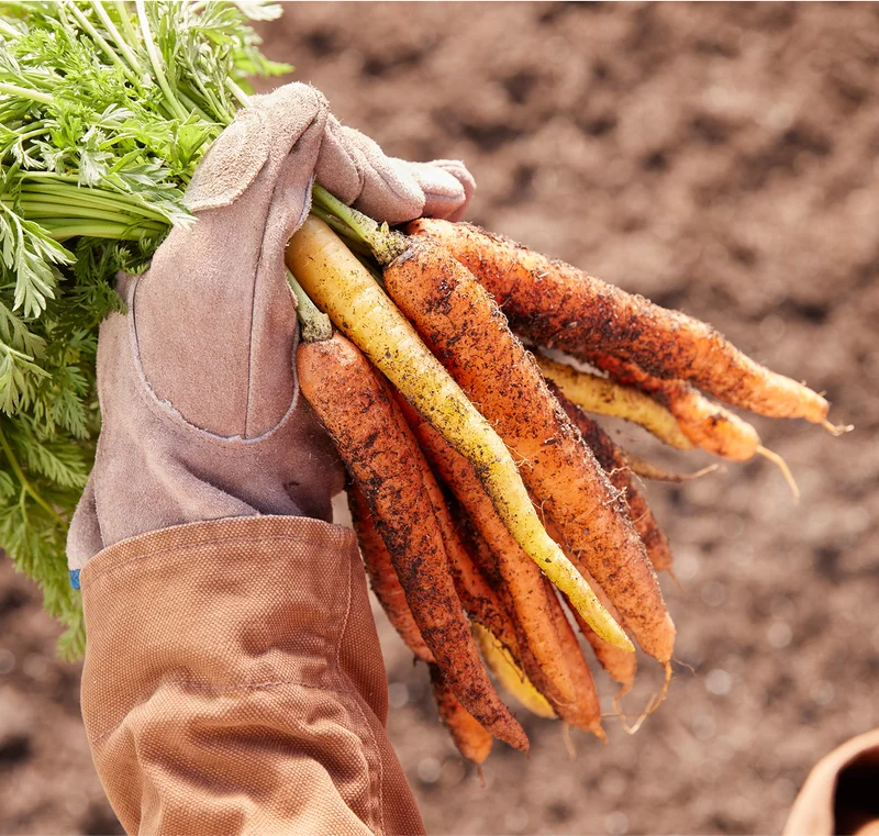 OXO x 1% FOR THE PLANET As a member of 1% for the Planet, we donate 1% of our annual sales to their efforts in sustainable food systems, food recovery, and educational programs.  We'd like to recognize our partners' achievements. | Learn More