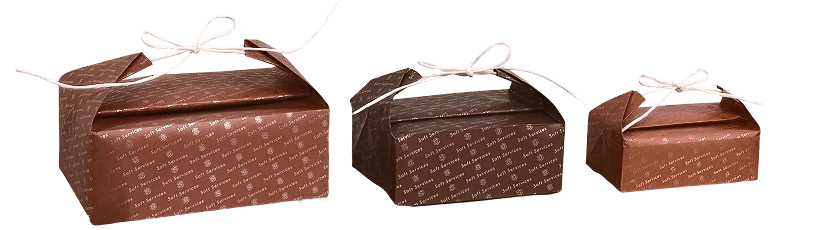 Recyclable Shipper Bag