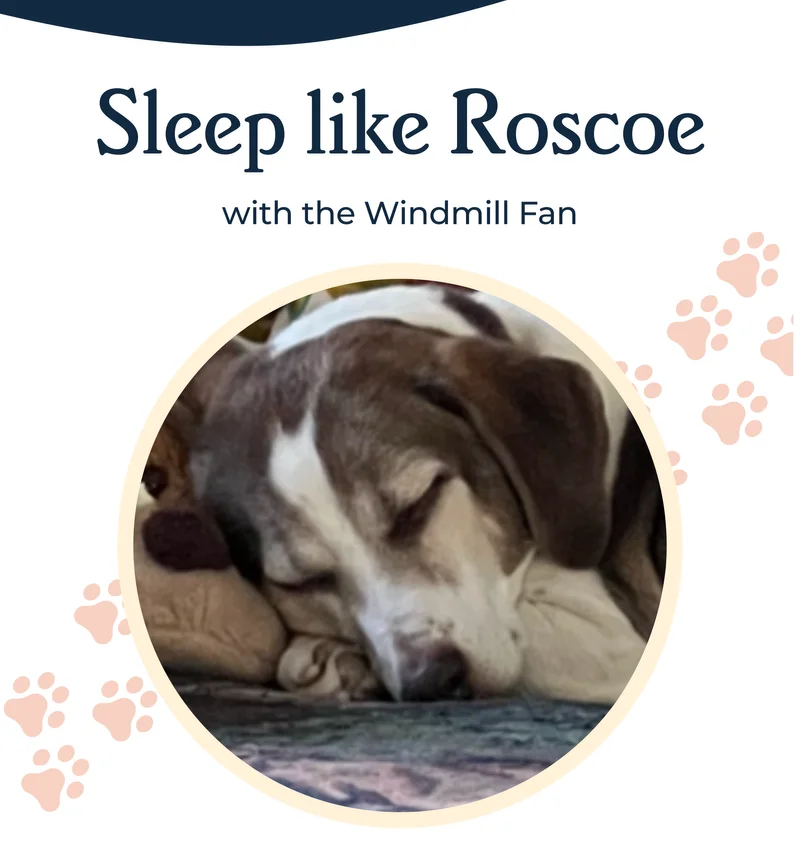 Sleep like Roscoe