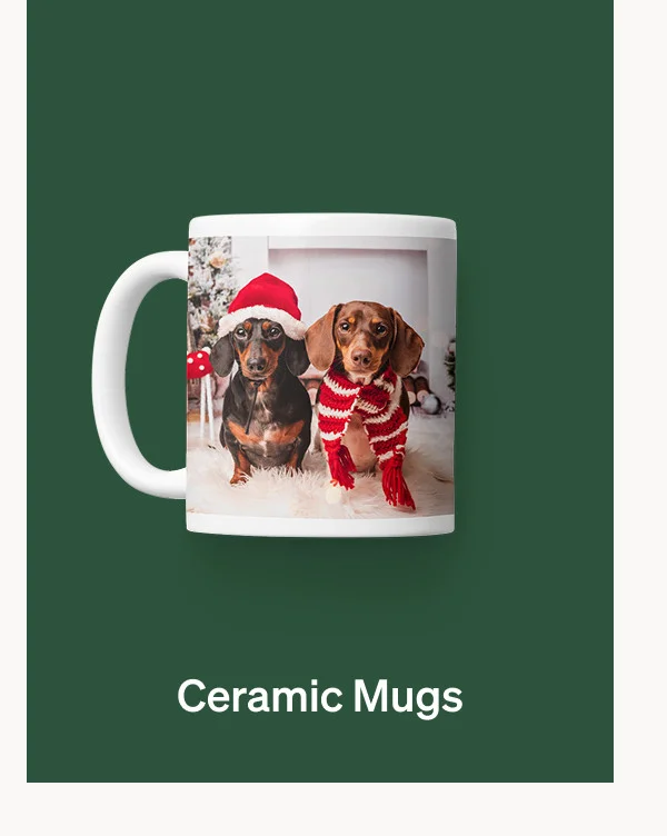 Free Shipping (No Min) + Up to 50% off everything